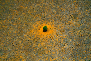 big-earth-yann-arthus2