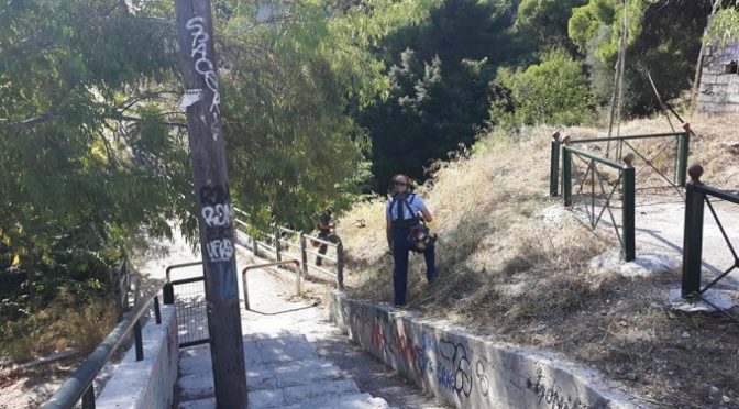 Με εντατικούς ρυθμούς η Πολιτική Προστασία του Δήμου Αμαρουσίου συνεχίζει την αποψίλωση και τον καθαρισμό από τα ξηρά χόρτα των παραρεμάτιων περιοχών και των κοινόχρηστων χώρων