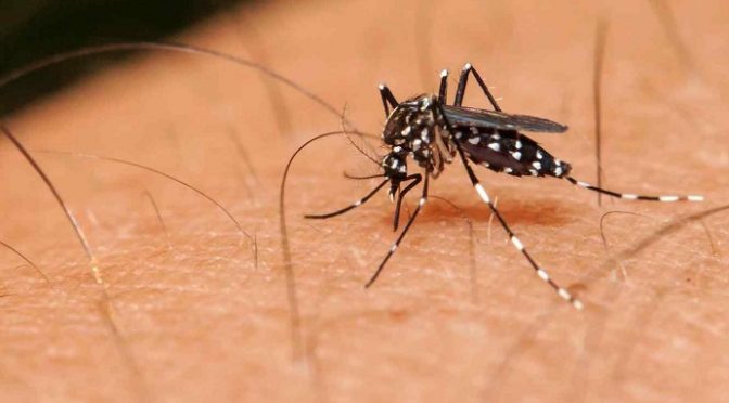 Μέτρα πρόληψης και προστασίας για την αντιμετώπιση κινδύνων από τα κουνούπια.