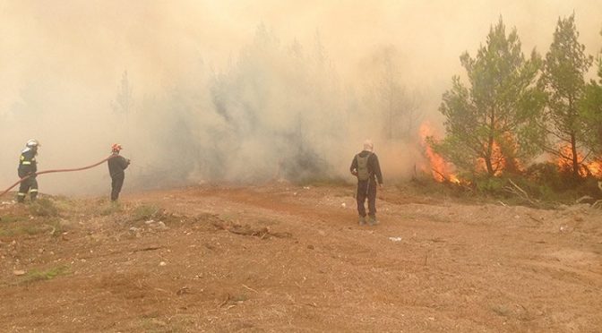 Εν όψει της έναρξης της Αντιπυρικής Περιόδου, ο Δήμος Πεντέλης εξέδωσε ανακοίνωση για τα μέτρα πρόληψης αλλά και προφύλαξης σε περίπτωση που η φωτιά πλησιάζει το σπίτι μας: 