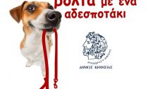 Η Επιτροπή Ζωοφιλίας του Δήμου Κηφισιάς εκτός από τα Σαββατιάτικα Puppy Day, με σκοπό την υιοθεσία αδέσποτων του Δήμου (12.30 έως τις 16.00 στο Κέντρο της Κηφισιάς, Κολοκοτρώνη & Λεβίδου) διοργανώνει και τη δράση «Βόλτα με ένα αδεσποτάκι».