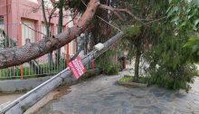 Επί ποδός είναι η Πολιτική Προστασία και η Υπηρεσία Πρασίνου του Δήμου Βριλησσίων αφού ο πολύ δυνατός αέρας έριξε τρία δέντρα μέσα σε χρονικό διάστημα τριών περίπου ωρών.