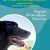 Ημέρα υιοθεσίας για πιο ηλικιωμένα σκυλάκια- Την Κυριακή σε Χαλάνδρι, Αμπελοκήπους και Γλυφάδα