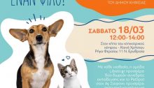ΗΜΕΡΑ ΥΙΟΘΕΣΙΑΣ Ελάτε να γνωρίσετε τα σκυλάκια της Επιτροπής Ζωοφιλίας του Δήμου Κηφισιάς που ψάχνουν για οικογένεια!