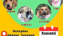 Γιορτή υιοθεσίας για σκύλους και πανέμορφα γατάκια διοργανώνει ο Περιβαλλοντικός Φιλοζωϊκός Πολιτιστικός Σύλλογος Αμαρουσίου (ΠΕ.ΦΙ.ΠΟ.) στο Θεατράκι του Δάσους Συγγρού (Λ. Κηφισίας 182, Μαρούσι) , την Κυριακή 14 Μαΐου 2023 από τις 11:00 έως τις 15:00.